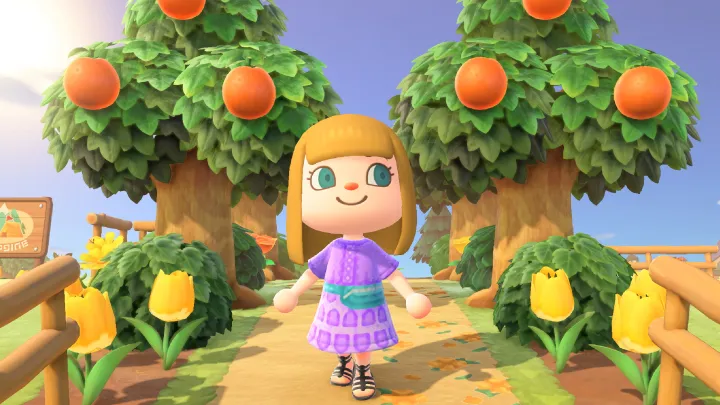 Tips & Guides for Mastering Animal Crossing: New Horizons
