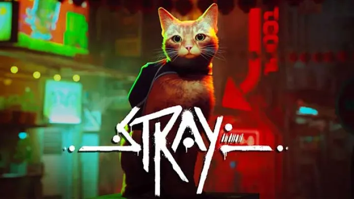 Exploring Themes of Loneliness and Connection in Stray